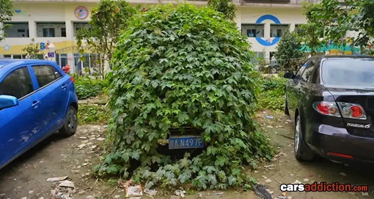 Zombie car in China